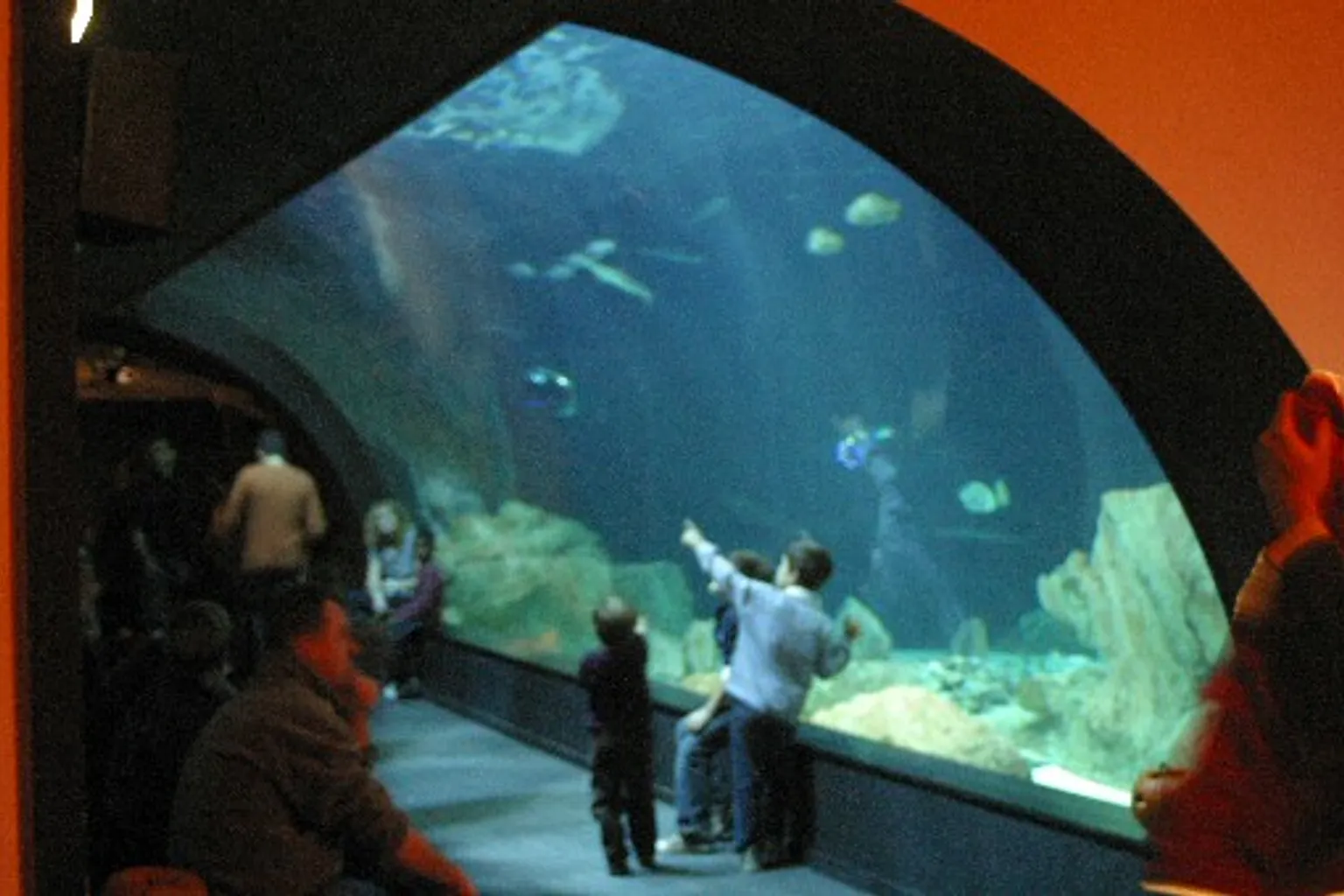 Aquarium de Paris tarifs : entre billet plein et offres réduites
