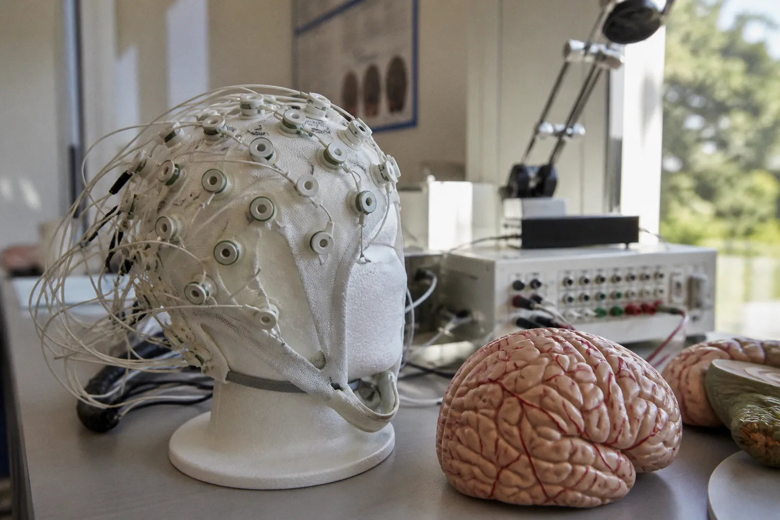 Psilocybine et neurosciences : une cartographie inédite des changements cérébraux
