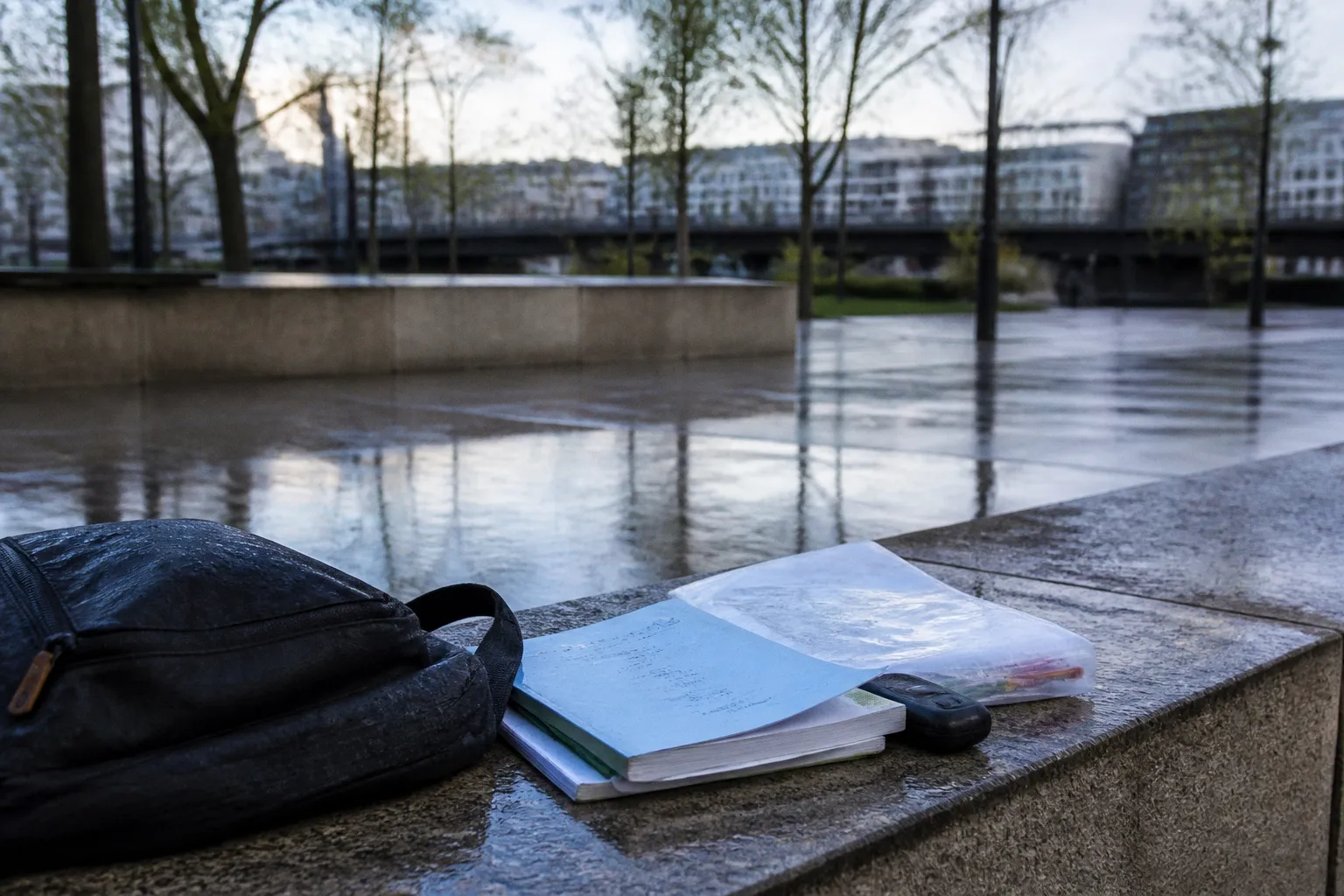 Santé mentale des jeunes réfugiés nord-coréens : au-delà des facteurs socioéconomiques